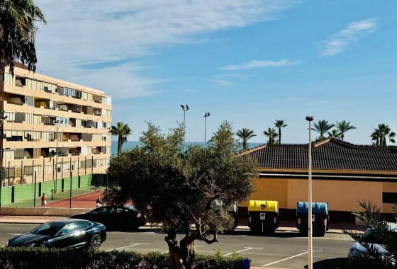 Segunda Mano - Apartamento - Torrevieja - Cabo cervera