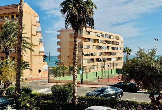 Segunda Mano - Apartamento - Torrevieja - Cabo cervera