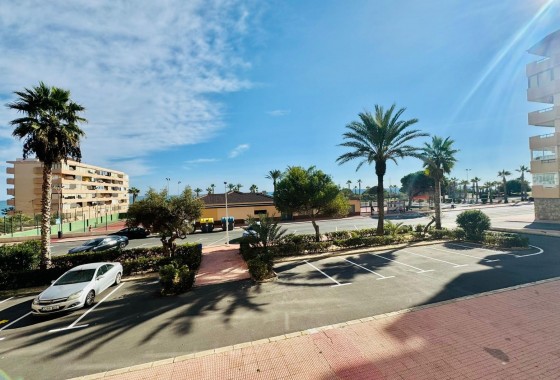 Segunda Mano - Apartamento - Torrevieja - Cabo cervera