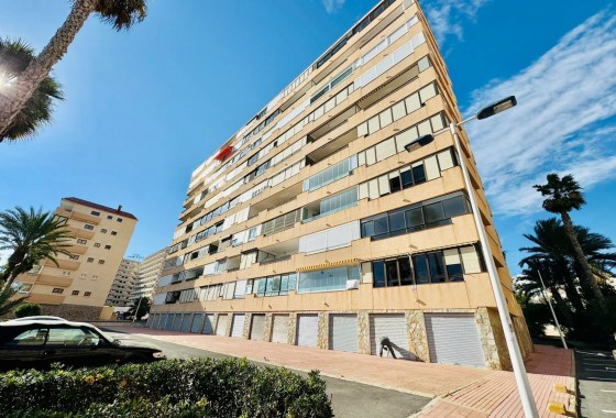 Segunda Mano - Apartamento - Torrevieja - Cabo cervera