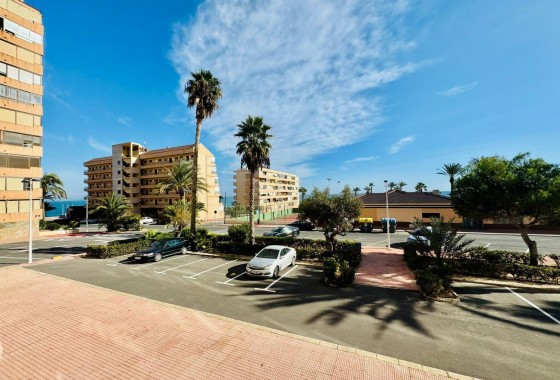 Segunda Mano - Apartamento - Torrevieja - Cabo cervera