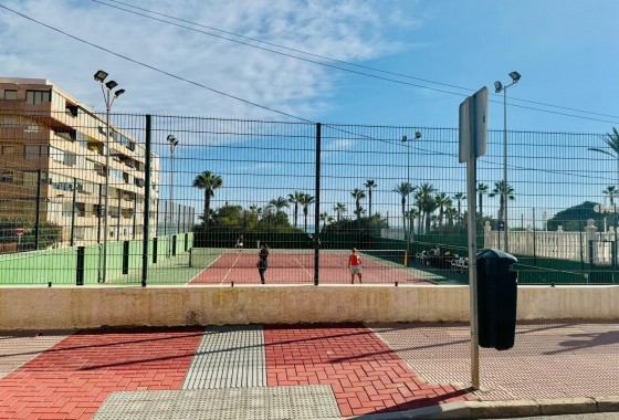 Segunda Mano - Apartamento - Torrevieja - Cabo cervera