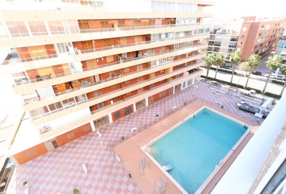 Segunda Mano - Apartamento - Torrevieja - Acequion