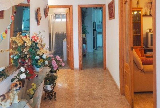 Resale - Detached Villa - Elche