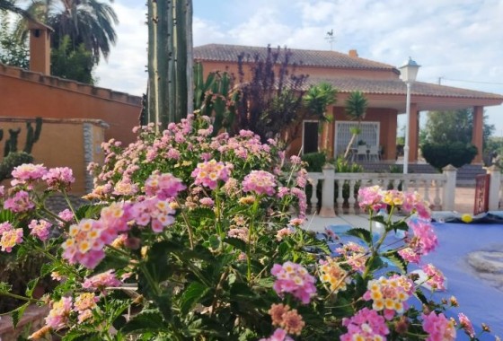 Resale - Detached Villa - Elche