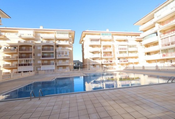 Segunda Mano - Apartamento - Torrevieja - La Mata