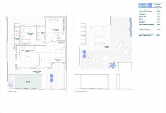 Obra nueva - Chalet - Torre Pacheco - Roldán