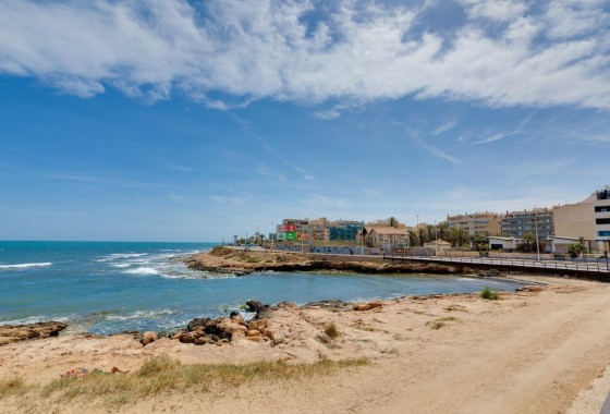 Segunda Mano - Apartamento - Torrevieja - Estacion de autobuses