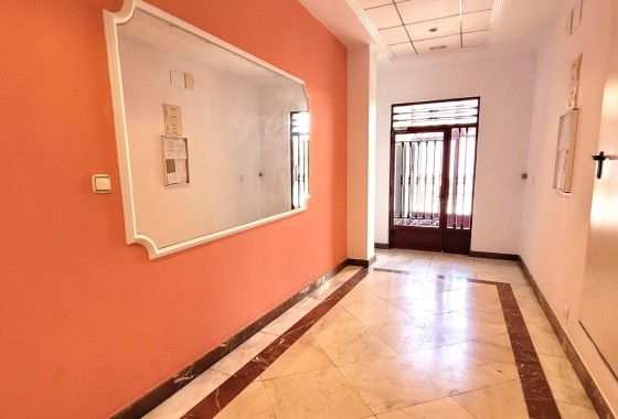 Revente - Appartement - Torrevieja - torrevieja