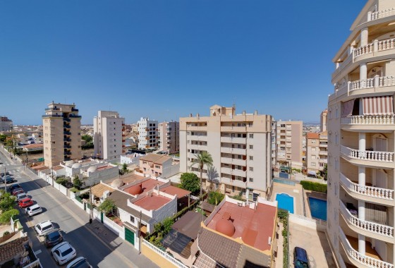 Segunda Mano - Apartamento - Torrevieja - Estacion de autobuses