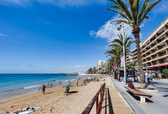 Segunda Mano - Apartamento - Torrevieja - Estacion de autobuses