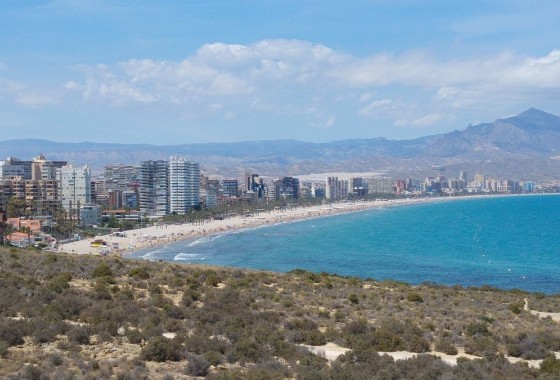 Nouvelle construction - Penthouse - San Juan Alicante - Fran espinos