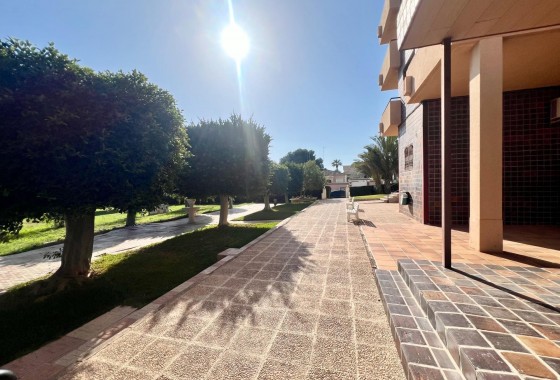 Resale - Apartment - Orihuela Costa - La Zenia