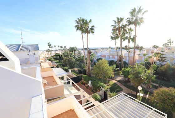 Segunda Mano - Chalet - Torrevieja - Los Balcones - Los Altos del Edén