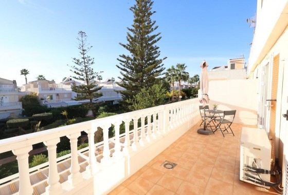 Segunda Mano - Chalet - Torrevieja - Los Balcones - Los Altos del Edén