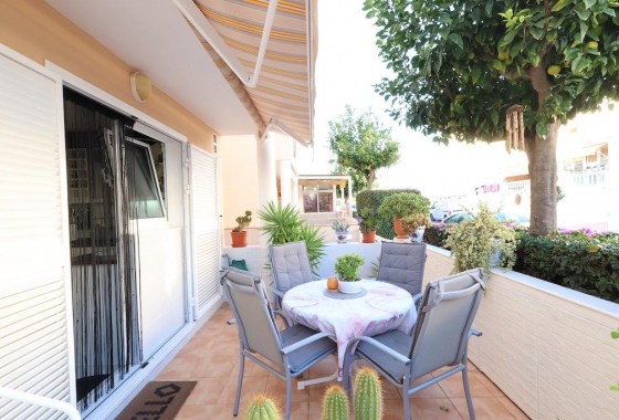 Segunda Mano - Chalet - Torrevieja - Los Balcones - Los Altos del Edén