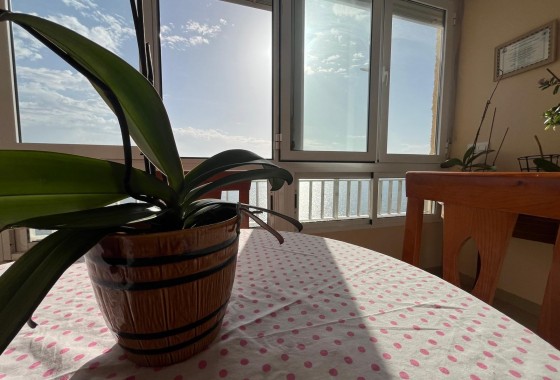 Revente - Appartement - Torrevieja - Playa del cura