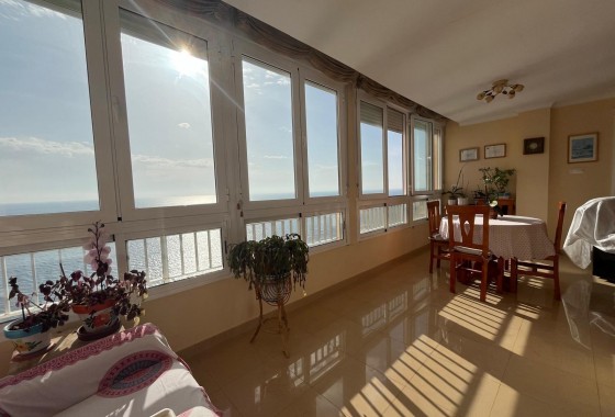 Revente - Appartement - Torrevieja - Playa del cura