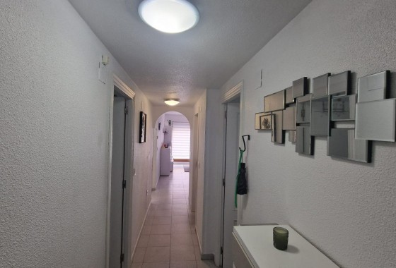 Revente - Appartement - Torrevieja - torrevieja