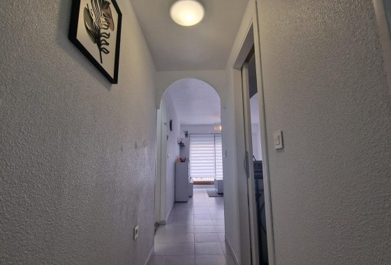 Revente - Appartement - Torrevieja - torrevieja