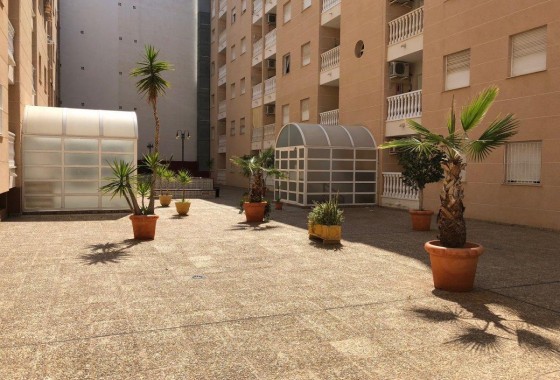 Revente - Appartement - Torrevieja - Estacion de autobuses