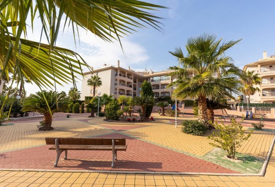 Revente - Penthouse - Orihuela Costa - Playa Flamenca