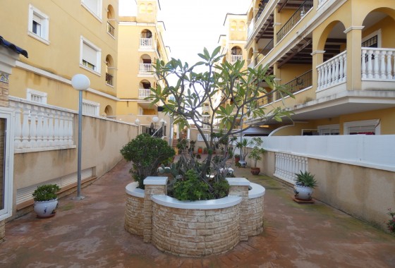 Revente - Appartement - Algorfa