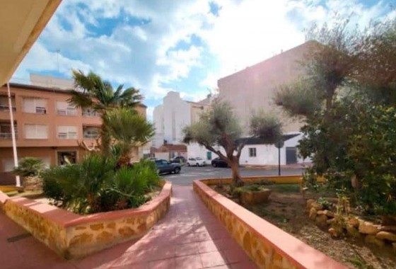 Revente - Penthouse - Torrevieja - Playa de los locos