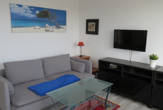 Segunda Mano - Apartamento - Torrevieja - Costa Blanca