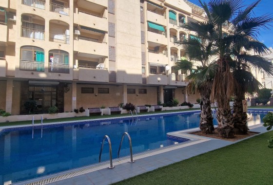 Segunda Mano - Apartamento - Torrevieja - Costa Blanca