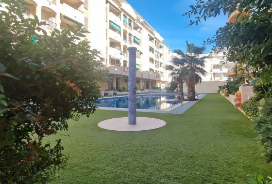 Segunda Mano - Apartamento - Torrevieja - Costa Blanca