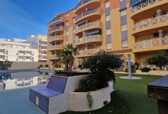 Segunda Mano - Apartamento - Torrevieja - Costa Blanca