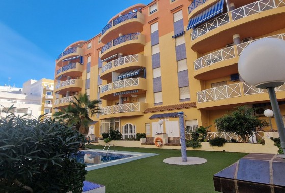 Segunda Mano - Apartamento - Torrevieja - Costa Blanca