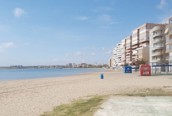 Segunda Mano - Apartamento - Torrevieja - Costa Blanca