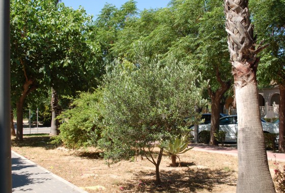 Resale - Townhouse - Mil Palmeras - Costa Blanca