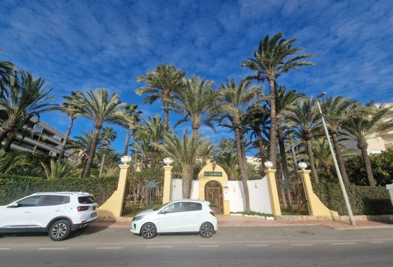 Segunda Mano - Apartamento - Torrevieja - Los Frutales