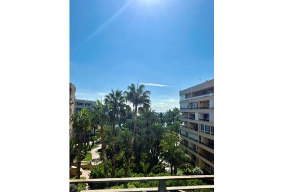 Revente - Appartement - Torrevieja