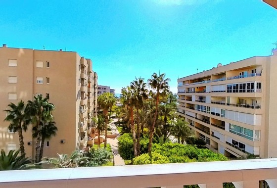 Revente - Appartement - Torrevieja