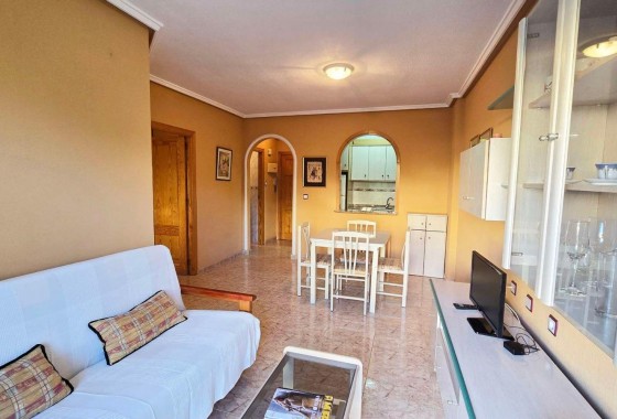 Segunda Mano - Apartamento - Torrevieja - torrevieja