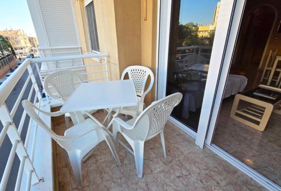 Segunda Mano - Apartamento - Torrevieja - torrevieja