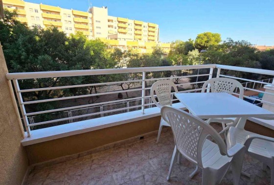 Segunda Mano - Apartamento - Torrevieja - torrevieja