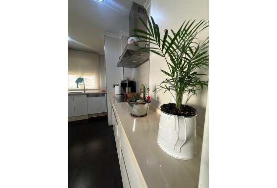 Segunda Mano - Apartamento - Torrevieja - torrevieja