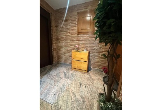 Segunda Mano - Apartamento - Torrevieja - torrevieja