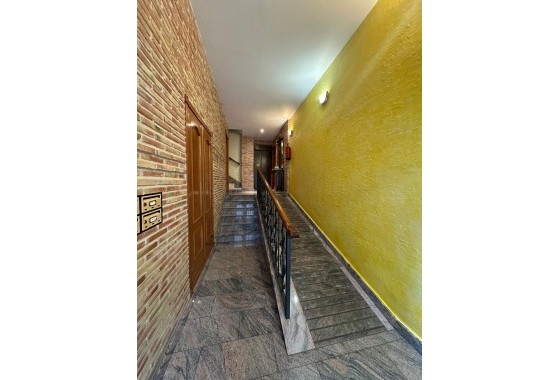 Segunda Mano - Apartamento - Torrevieja - torrevieja