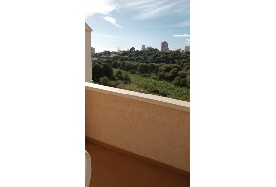 Segunda Mano - Apartamento - Orihuela Costa - Campoamor