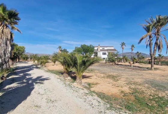 Resale - Detached Villa - Cieza