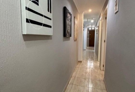 Segunda Mano - Apartamento - Torrevieja