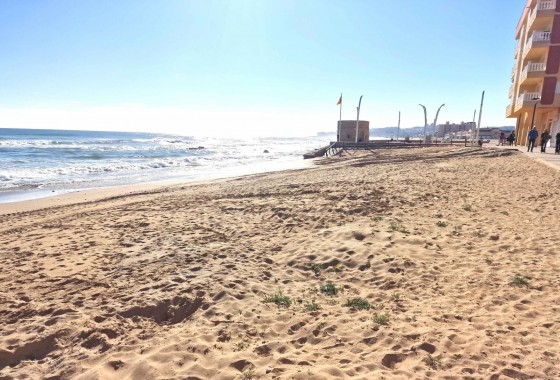 Segunda Mano - Apartamento - Torrevieja - Estacion de autobuses