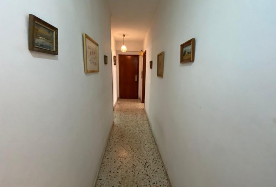 Segunda Mano - Apartamento - Torrevieja - Acequion