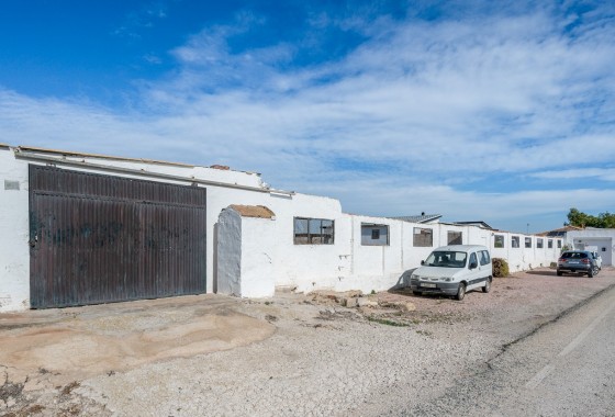 Resale - Detached Villa - Elche - Daimés